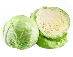 REPOLLO - Image 4
