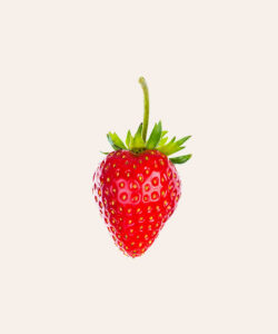 TOMATE - Image 6
