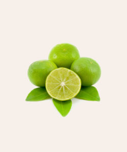 TOMATE - Image 2