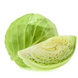 REPOLLO